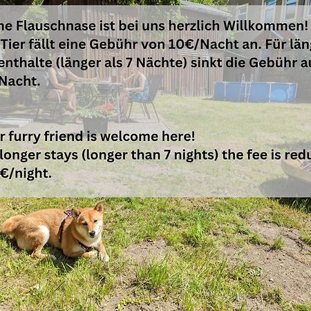 H6 -Urlaubsmagie- Wohnung Fuer 3 Mit Pool & Terrasse Sebnitz Exterior foto